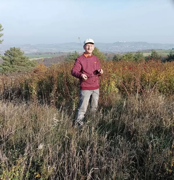 Galagonyaszedés